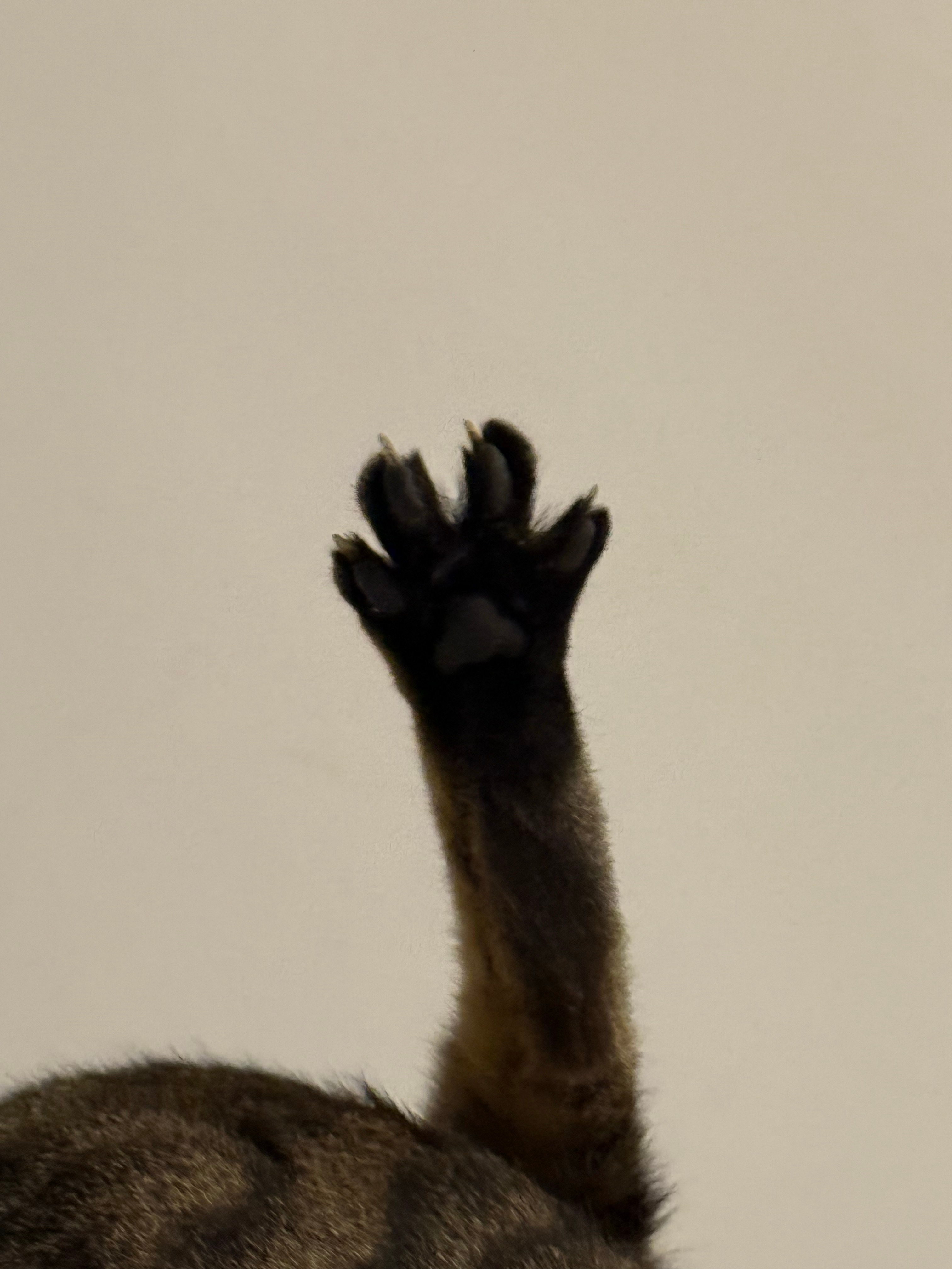哈喽👋🏻 