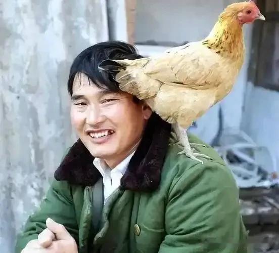 他除了能啍两句歌，真它的一事无成，好事不多，坏事有余！