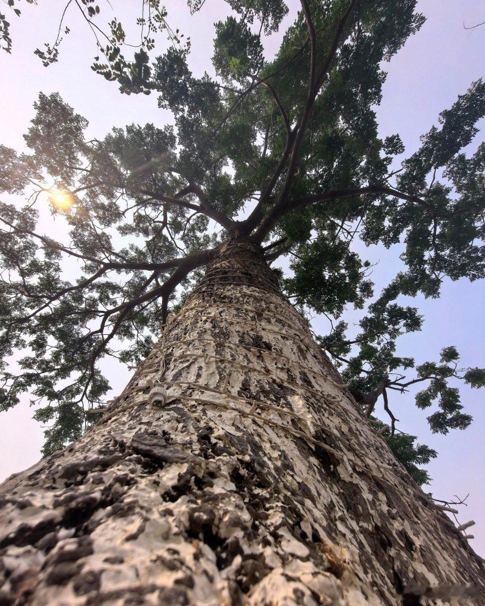 中午好啊~不管外面的风雨，不管世事变幻、沧海桑田，给生活一丝坦然，给生命一份真实