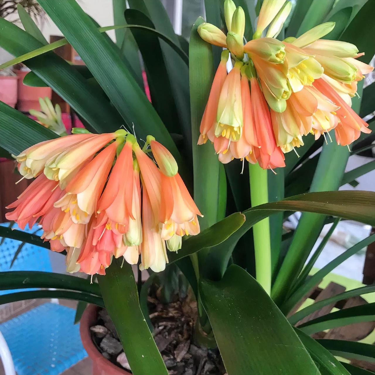 分清楚了孰轻孰重，就能够更好地活在当下，珍惜当下的幸福。