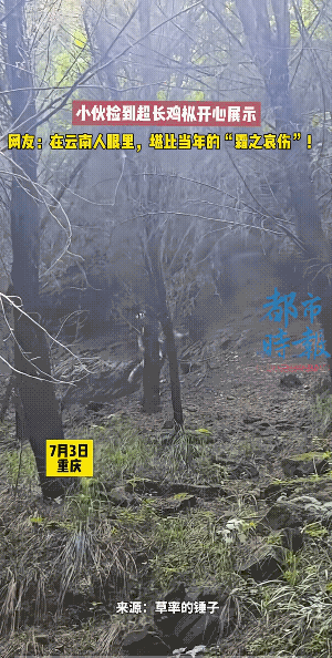 独鸡枞，一般都大一些，这么大的鸡枞，确实少见。
另外，鸡枞没有老嫩这种说法，从地