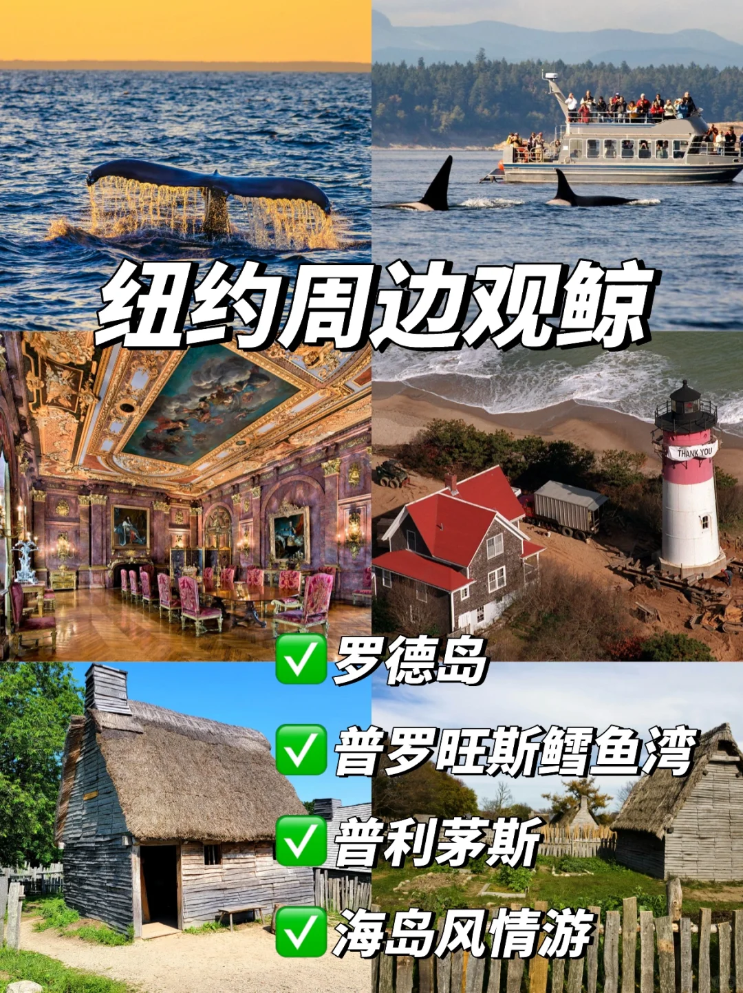 纽约周末观鲸🐳罗德岛+宝藏海边小镇3日游💯
