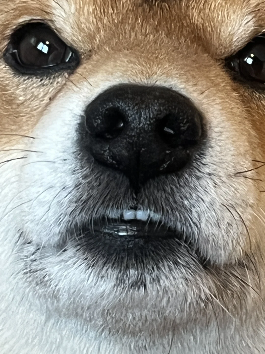 又怎么了我的大少爷