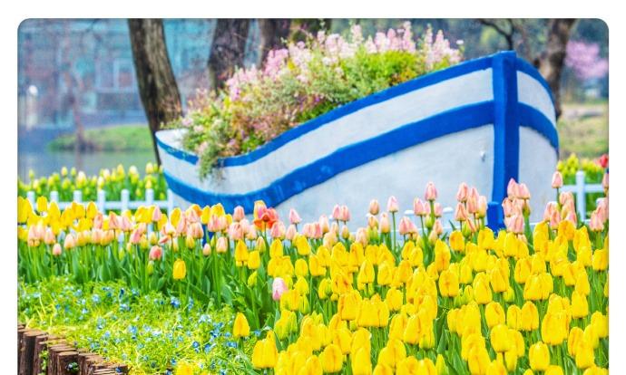 晚安心语：夜色温柔，是时候给心灵来一次大扫除了。把一天的疲惫、烦恼通通打包清理，