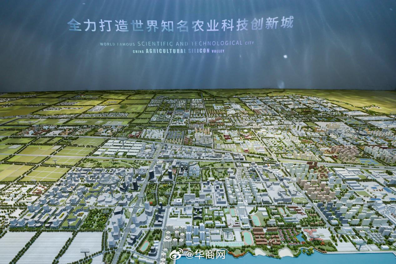 #解码杨凌农科城创新实践# 【政府擘画：构建最优创新生态，打造发展“强引擎”】从