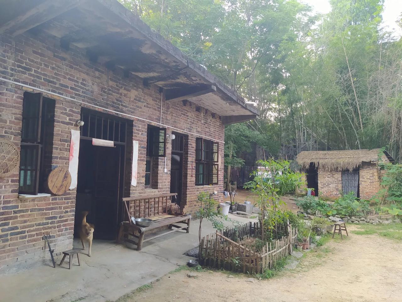 夏日山村傍晚

日头西斜时，蝉鸣声渐渐缓了，夕阳把最后一缕金辉温柔的泼进竹林里，