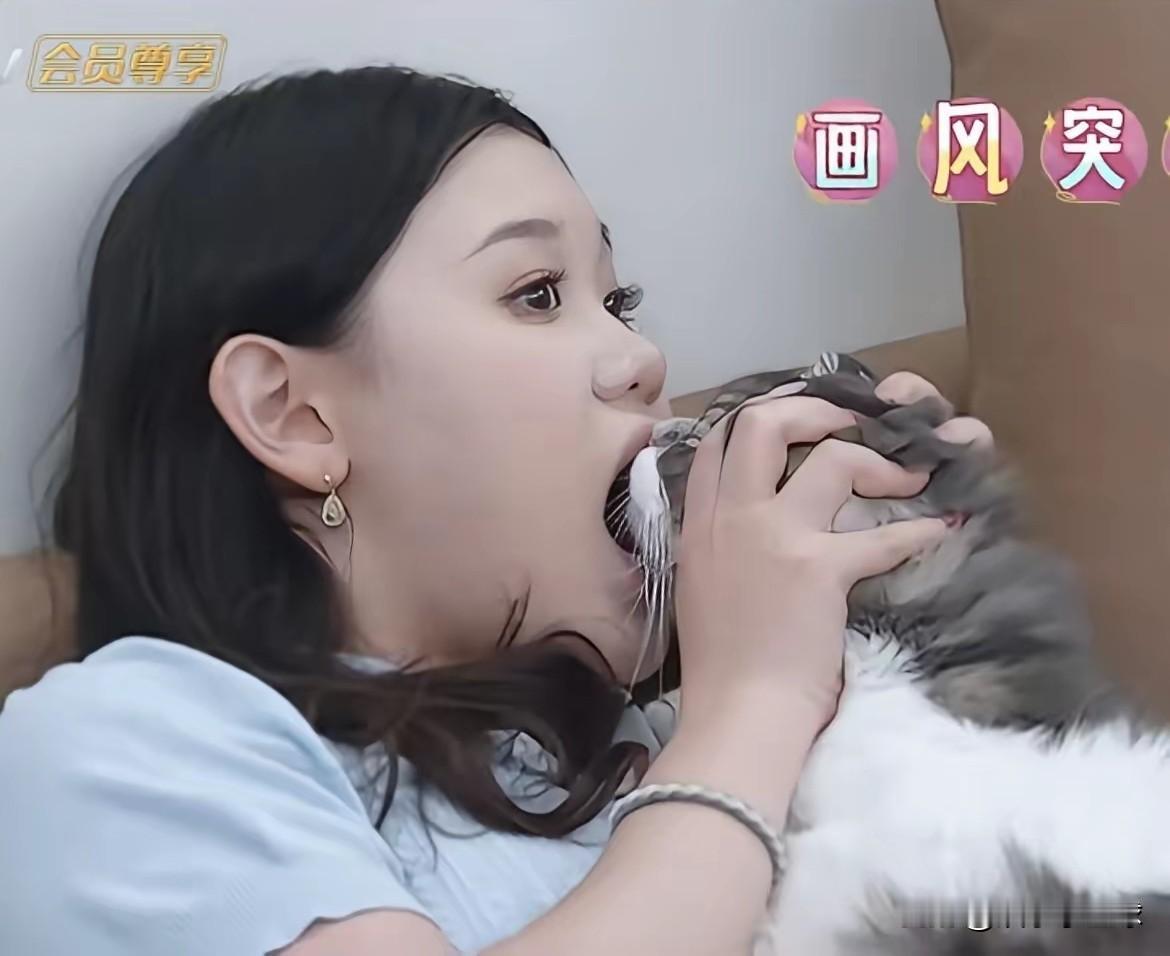 近日，张家齐因吸猫动作引发争议，很多人第一反应不是可爱，而是起鸡皮疙瘩。猫的口鼻