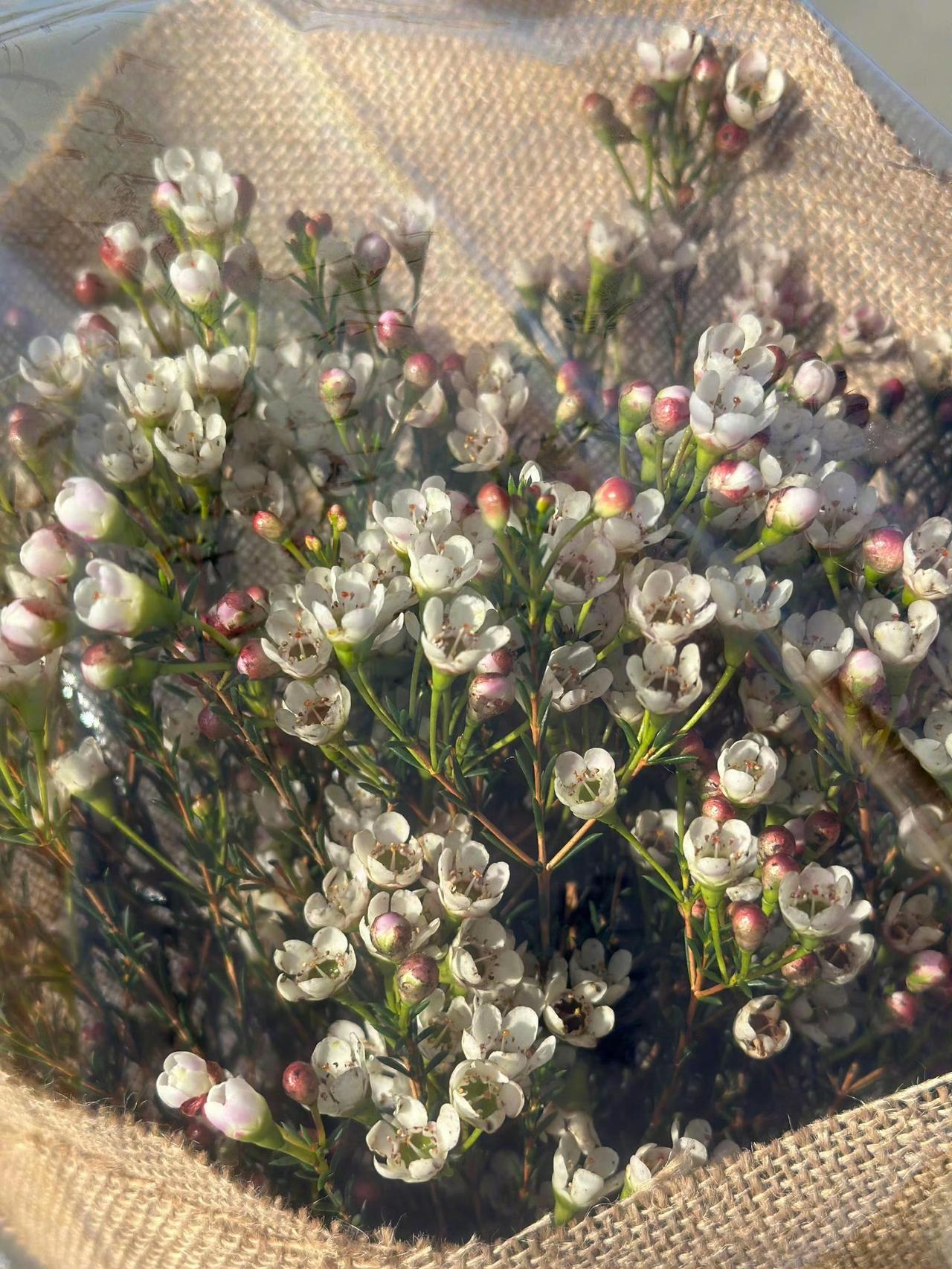 《心经》里这句话说得好:
心无挂碍，无挂碍故，无有恐怖，远离颠倒梦想，究竟涅槃。