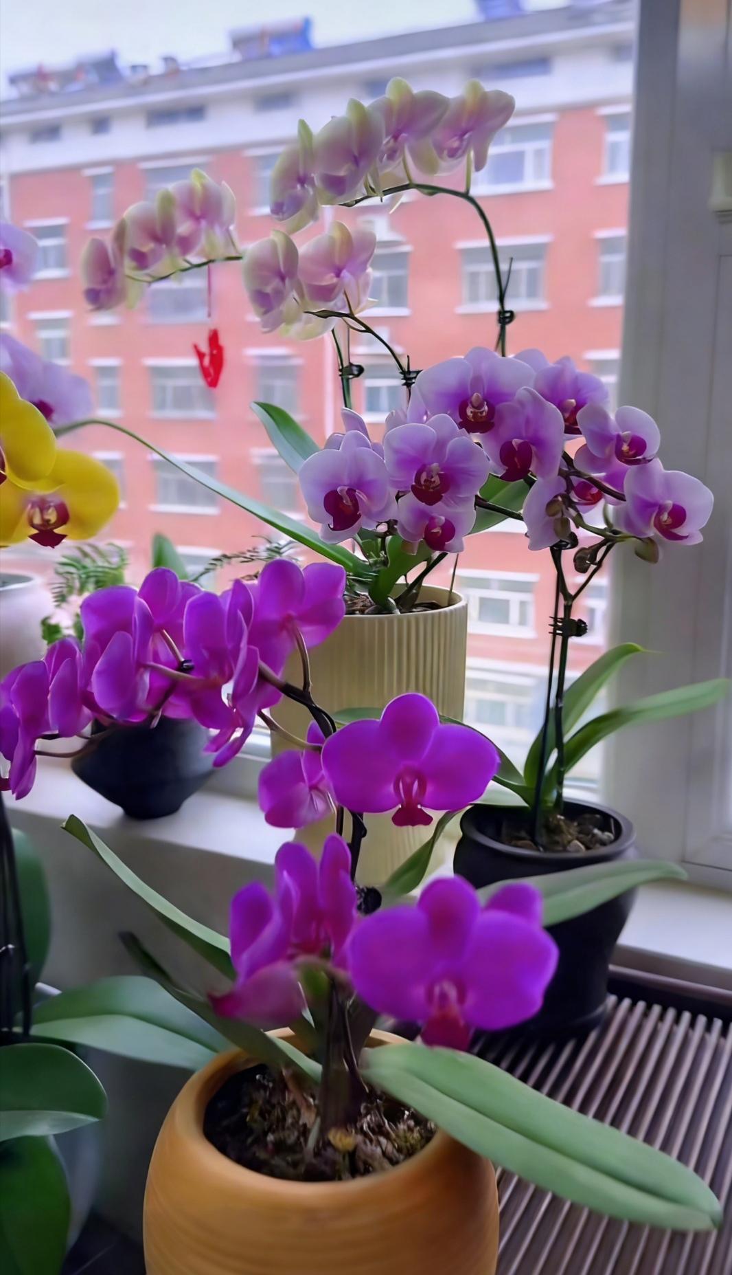 分享一下你随手拍下的照片