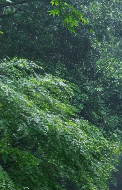 0900高尚的人无论多想何处，身边总有一个坚强的捍卫者，那就是良心。以往拥有的，