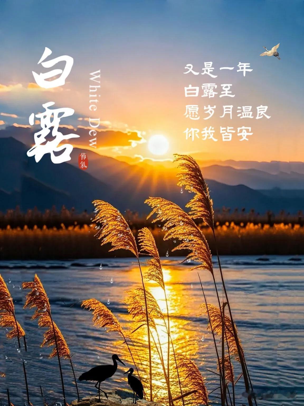 日出东方，暖意盈怀。生活最大的财富，就是亲人平安健康。祝愿今日万事和顺，早安吉