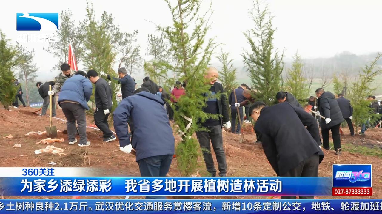 为家乡添绿添彩我省多地开展植树造林活动