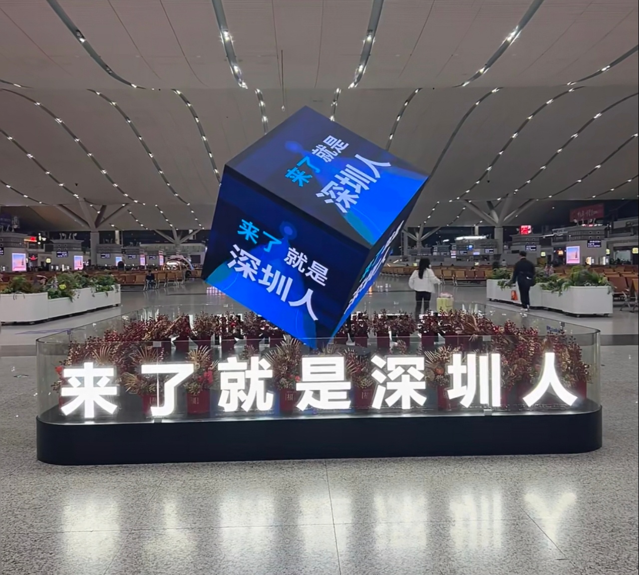 深圳没有雪但深圳有钱深圳的标语不是摆设：来了就是深圳人！除了深圳还有谁？哪怕苏大