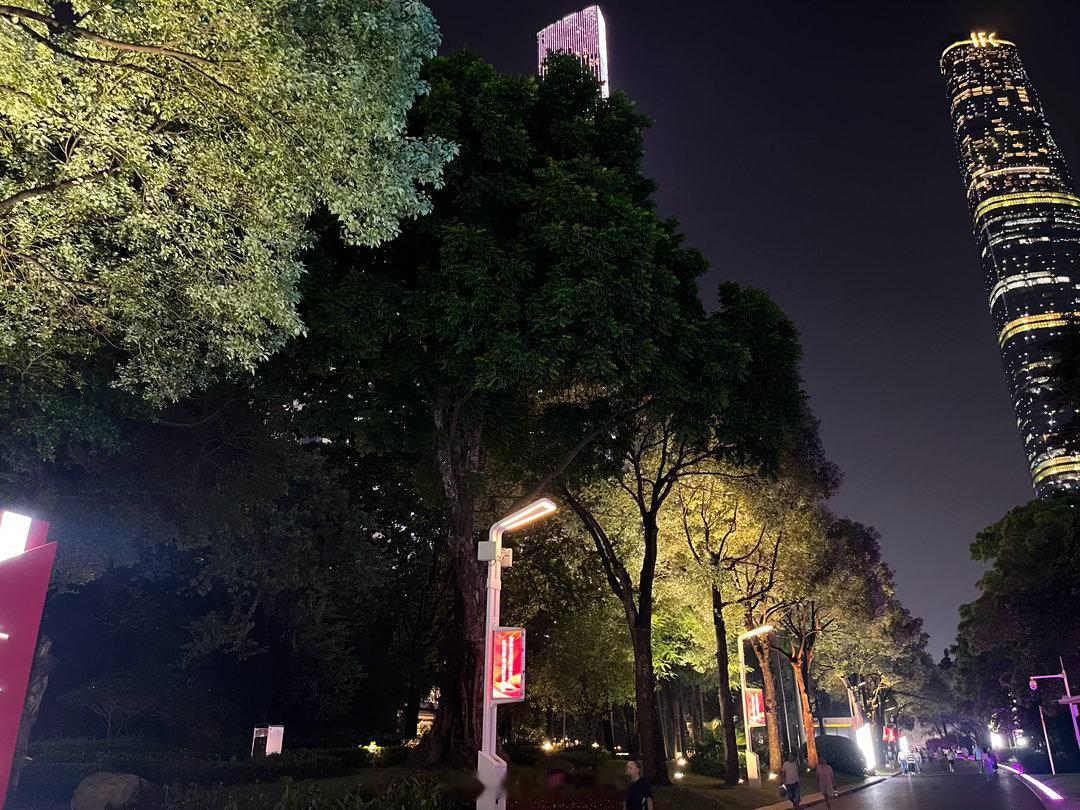 路边唯独那棵树没有打灯，是我上次看到猫头鹰的那棵 虽然不知道，但还是会想，会不会