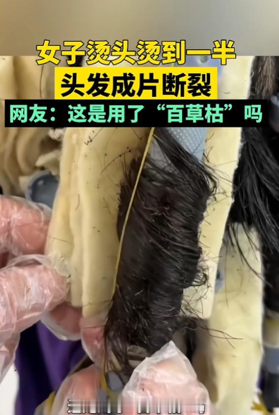 “太吓人了！”7月11日报道，河北，一女子很爱美，她精心留了一头长发，去理发店想