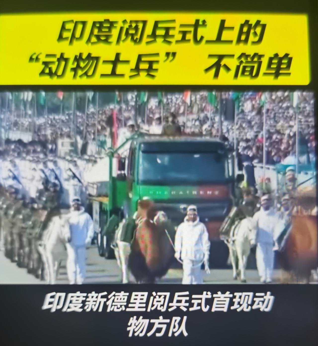 印度2026共和国日阅兵首现“动物士兵”方队，核心是极端地形刚需+传统战力科技化