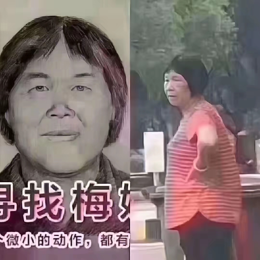 梅姨真实姓名首曝光传了这么多年的“梅姨”，现在身份确认是谢家梅，案件走到审查起诉