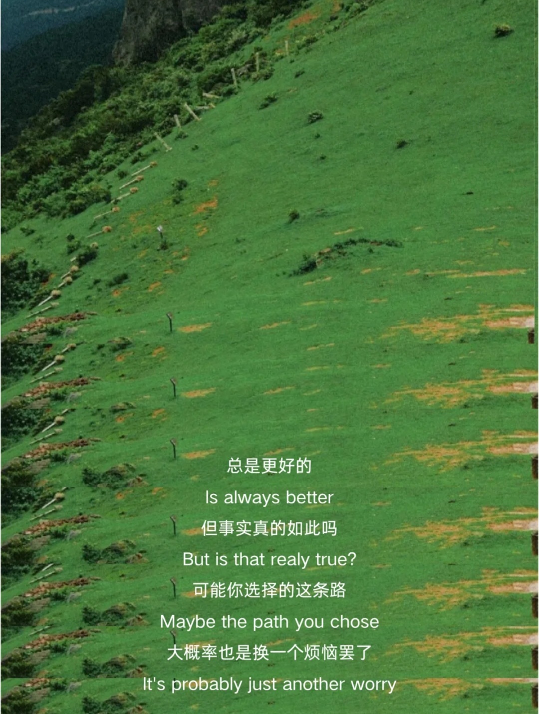 不要美化未选择的路，换条路也只是换个烦恼罢了。 ​​​