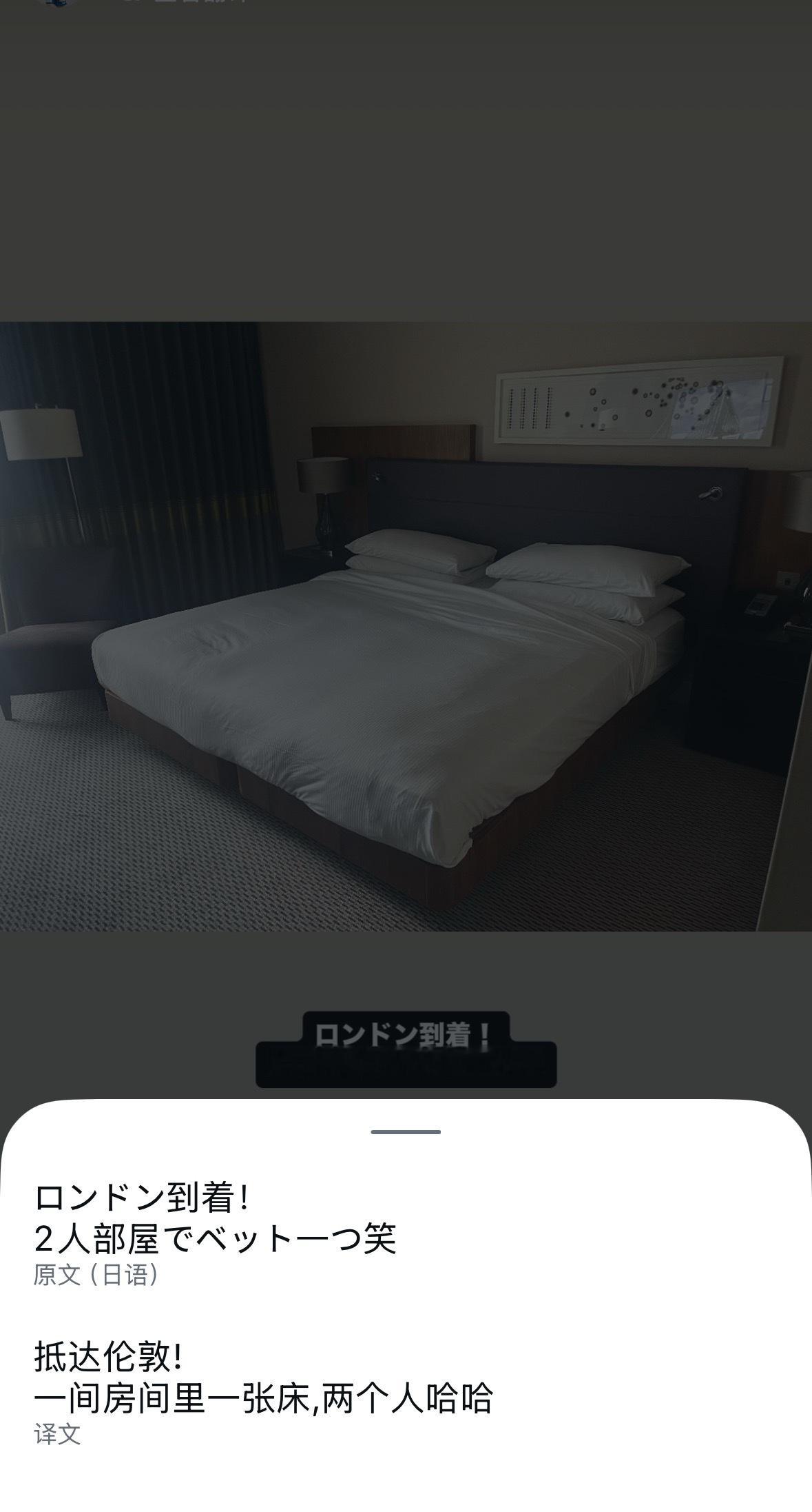 森园：双人房 一张床 