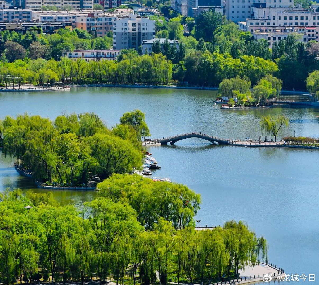 太原一地入围全国市辖区旅游传播力百强   迈点研究院5月20日发布2026年4月