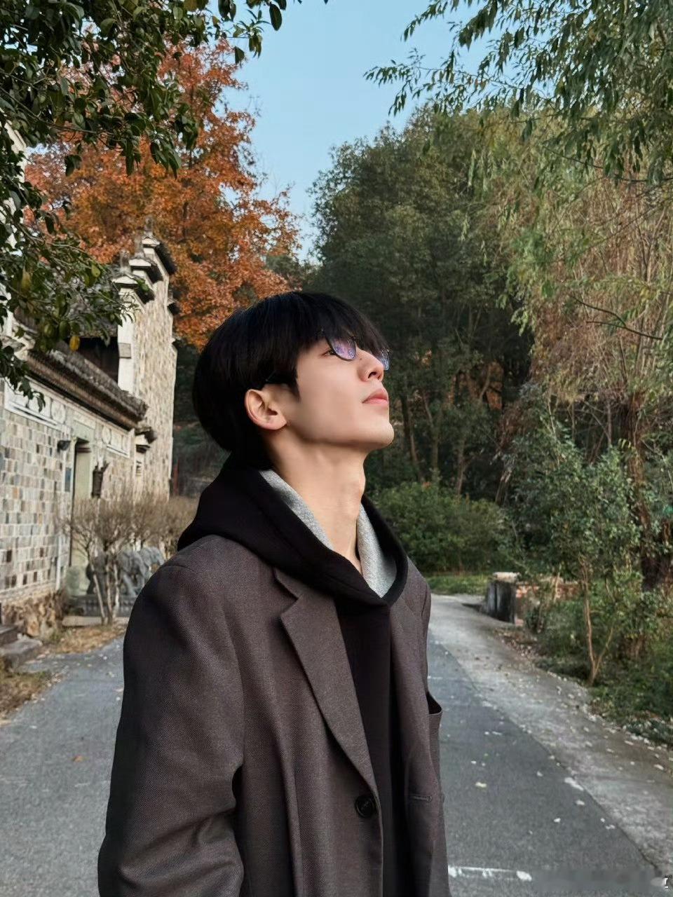 张凌赫化身摄影师 分享一则今日份的“顺毛牛牛”。张凌赫 镜头下的风景和他眼镜后的