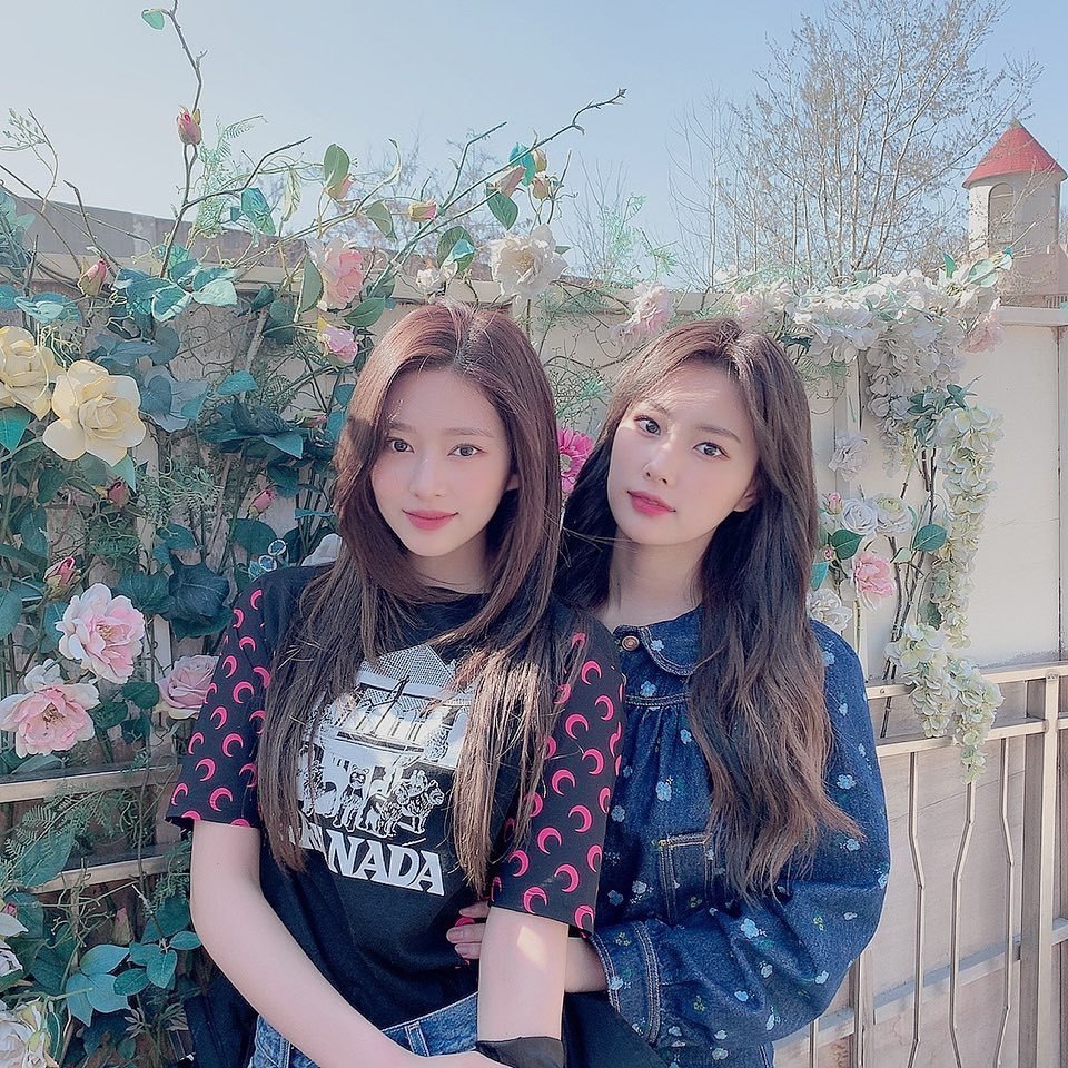 IZONE[超话]  双清纯🌼🌸金珉周姜惠元 ​​​