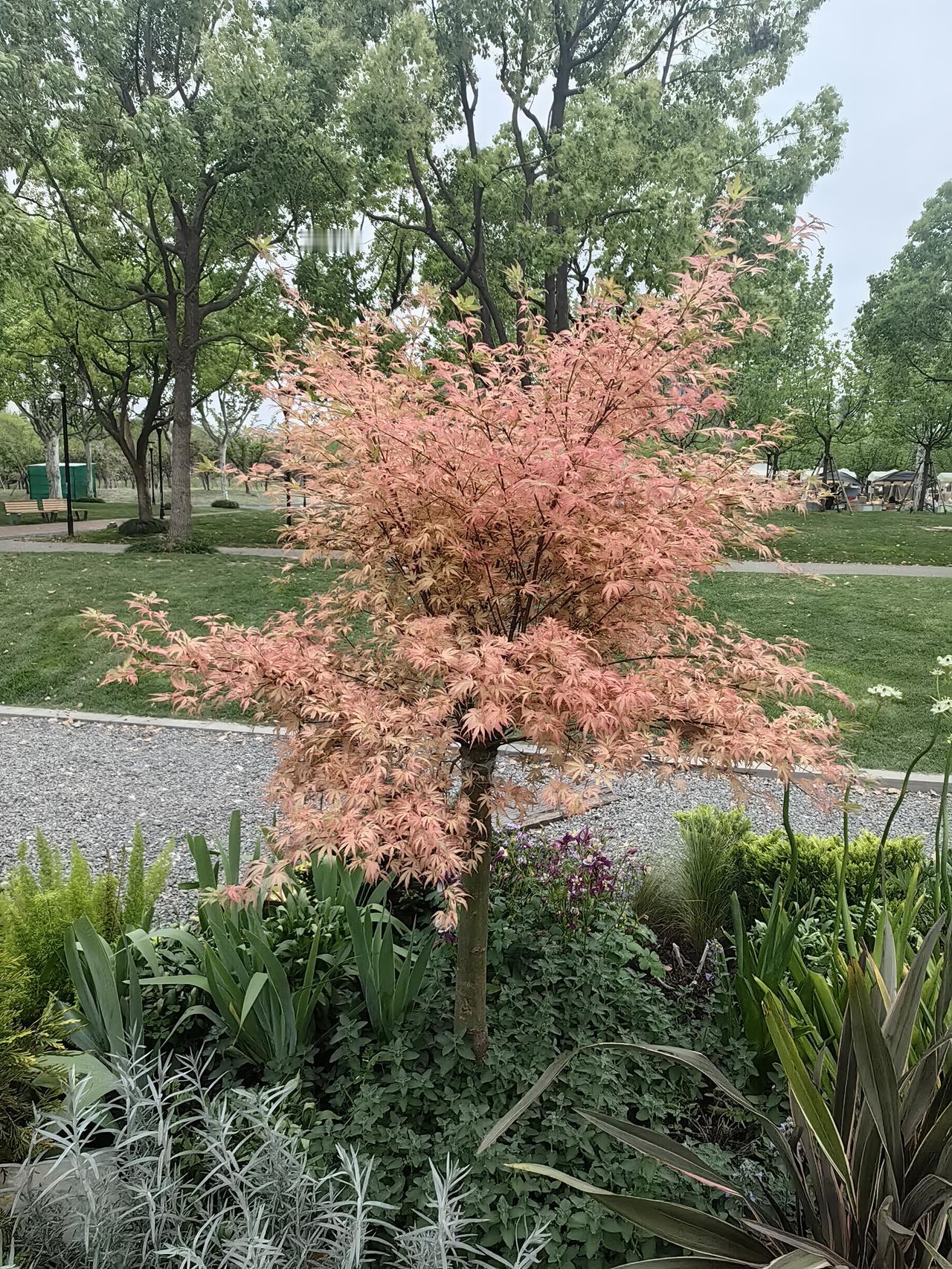 振宏股份将于明天在北交所上网发行，正股门槛为430～485万元
振宏股份发行价格