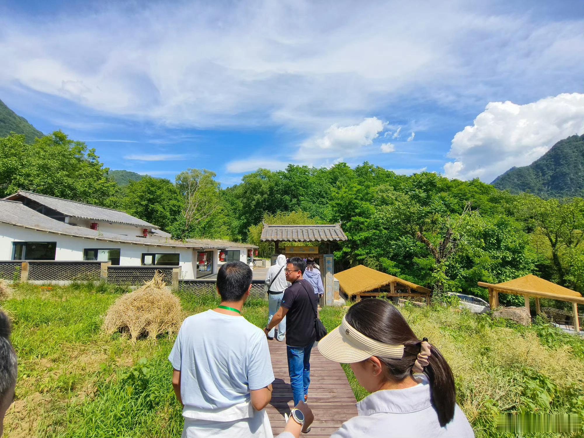 甘肃两当县庭院焕新记 【微景观：乡土记忆的当代表达】 石磨、陶罐、老木桩、竹篱笆