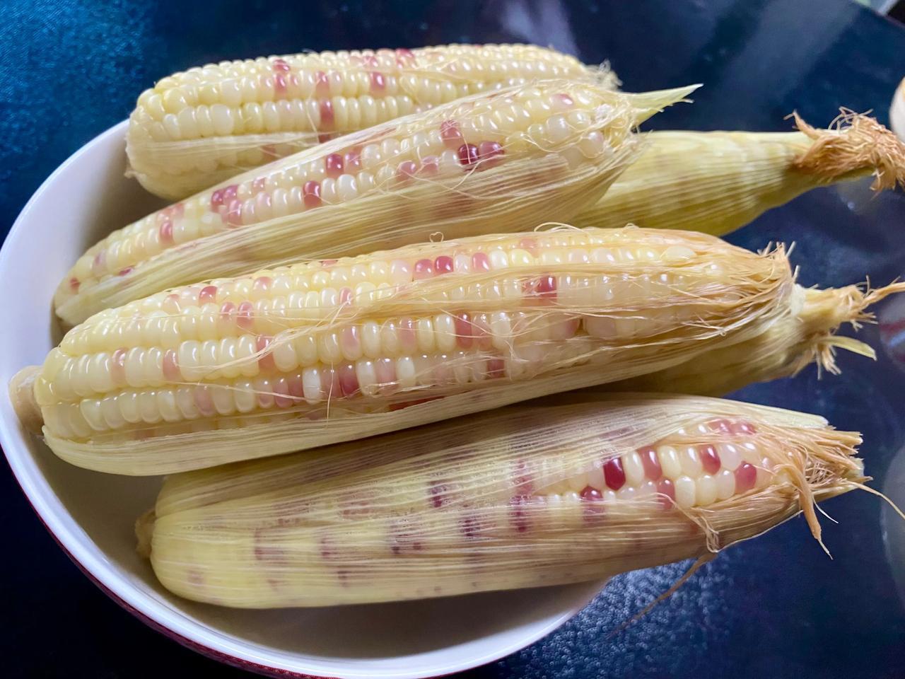 玉米是粗粮，健康又饱腹。新鲜的甜糯玉米，蒸着吃比煮着吃味道更好。撕开外层，留下一