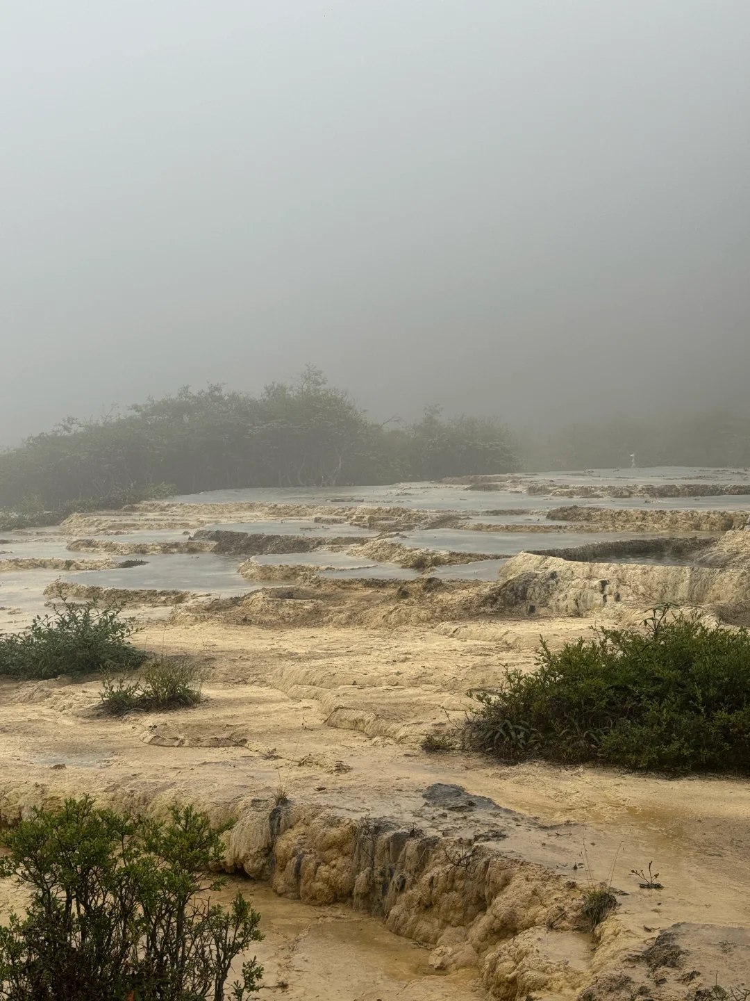 还我妈生五彩池……