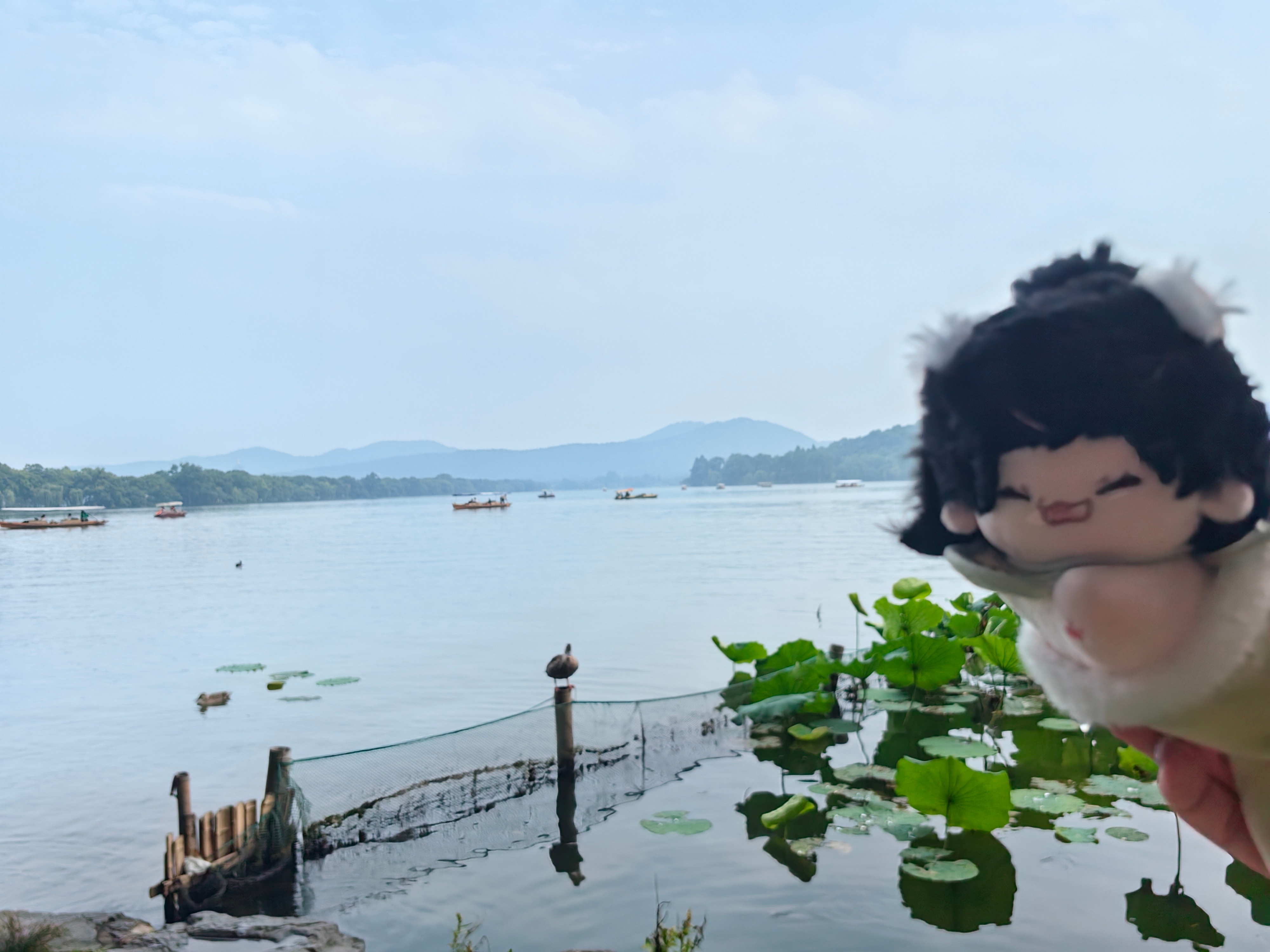 躺在床上的时候 忽然想起来 半个月前从杭州回广州的时候 川航给我发了饭没发馒头 