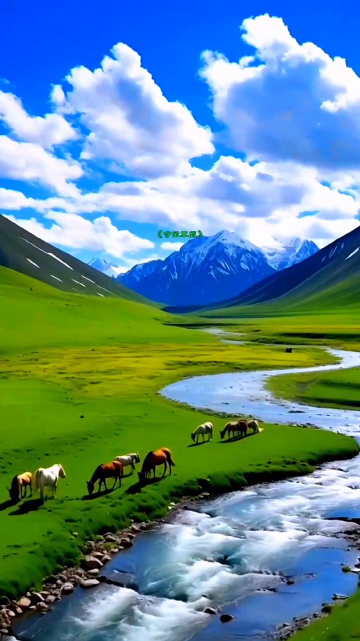 《守望草原》。
草原，我在为你歌唱，呼唤我那远方的故乡，思念刻在我心上，永远守望