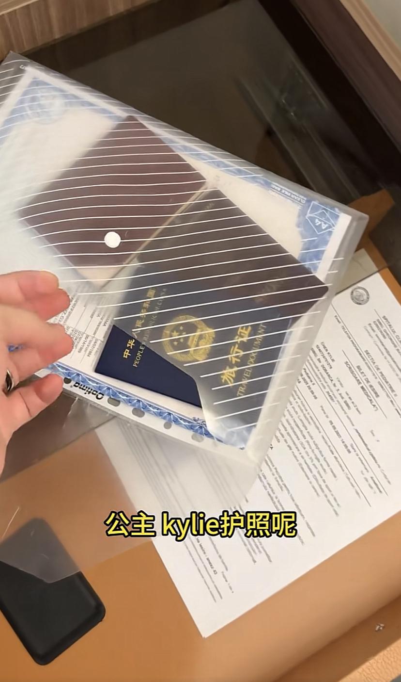 阿迪一大早指着鼻子说盈公主，凯莉的护照找不到了，不让她们母子走，盈公主一脸委屈，