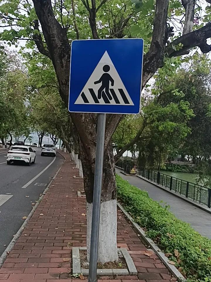 家人们谁懂啊，这个标志到底是意思是什么？
是要你走过马路，还是进去走过马路？