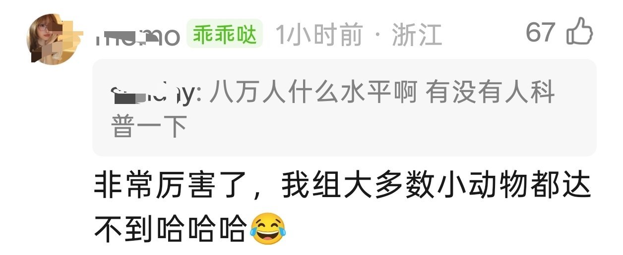不拉踩 纯分享 