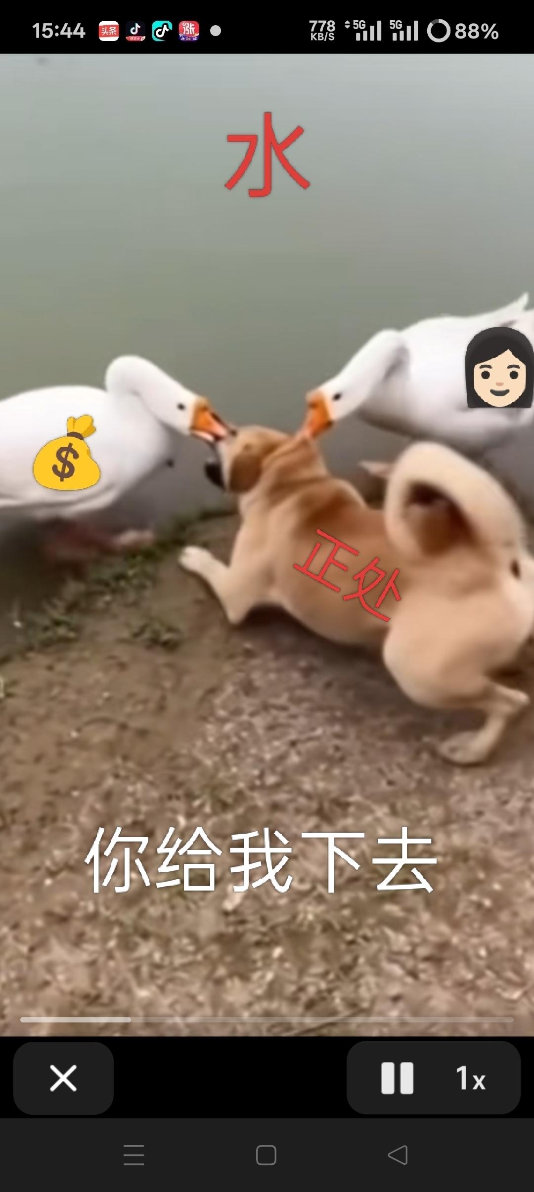 【周末悟股】低估值只说明现货便宜，现在低买是为了日后高卖，卖不出好价买的再便宜也