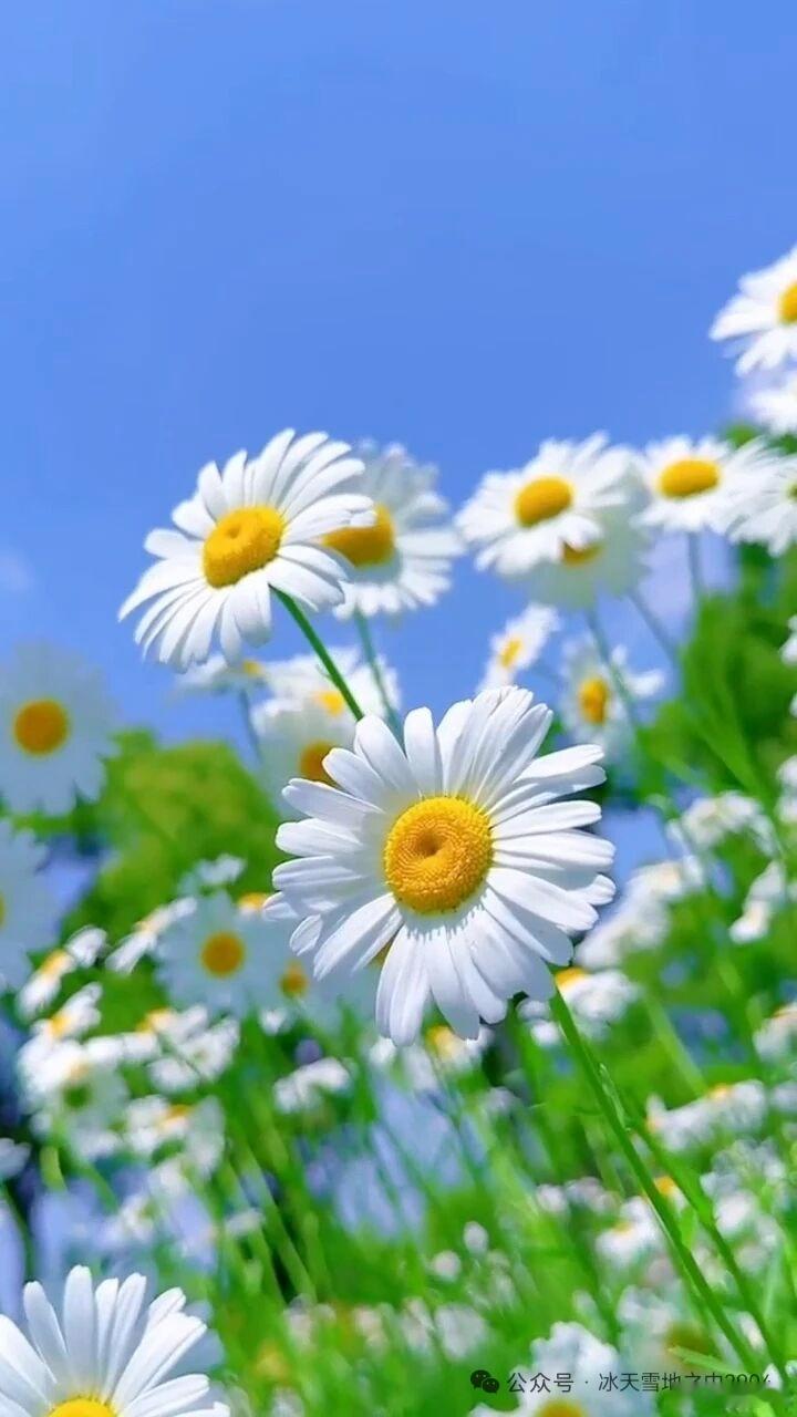 解不开的结，就系成花生活真是这样，它会让你一次次地去做这个功课，直到你学会为止。