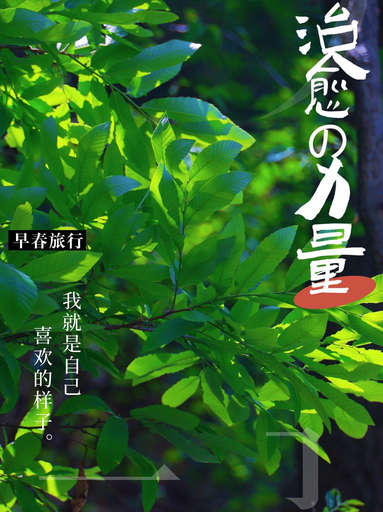 #阿山播天气# 3月12日  云台山 多云 5℃/14℃ 偷渡人间耍一耍，风来自