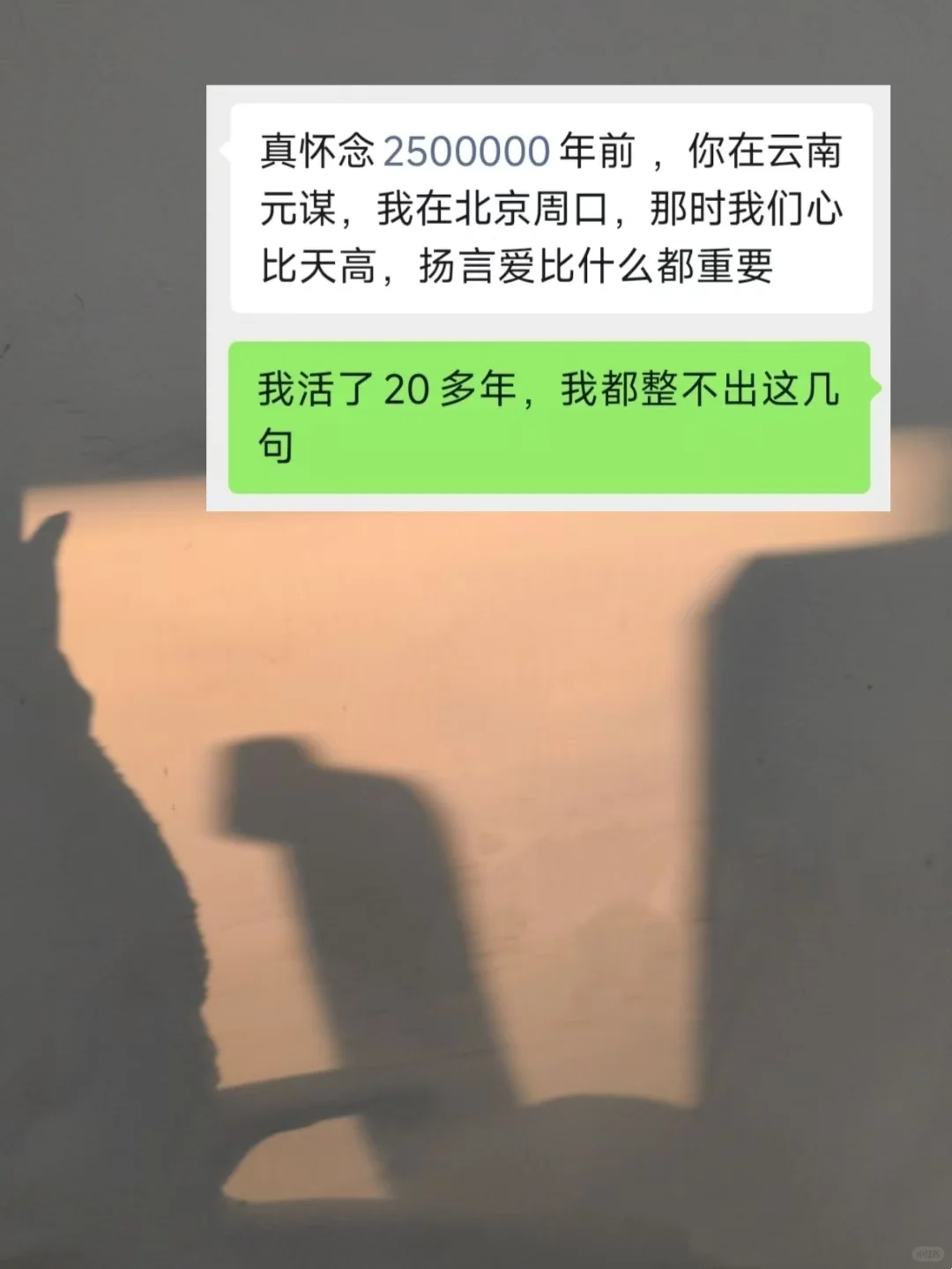 当我有一个很会接梗的同事