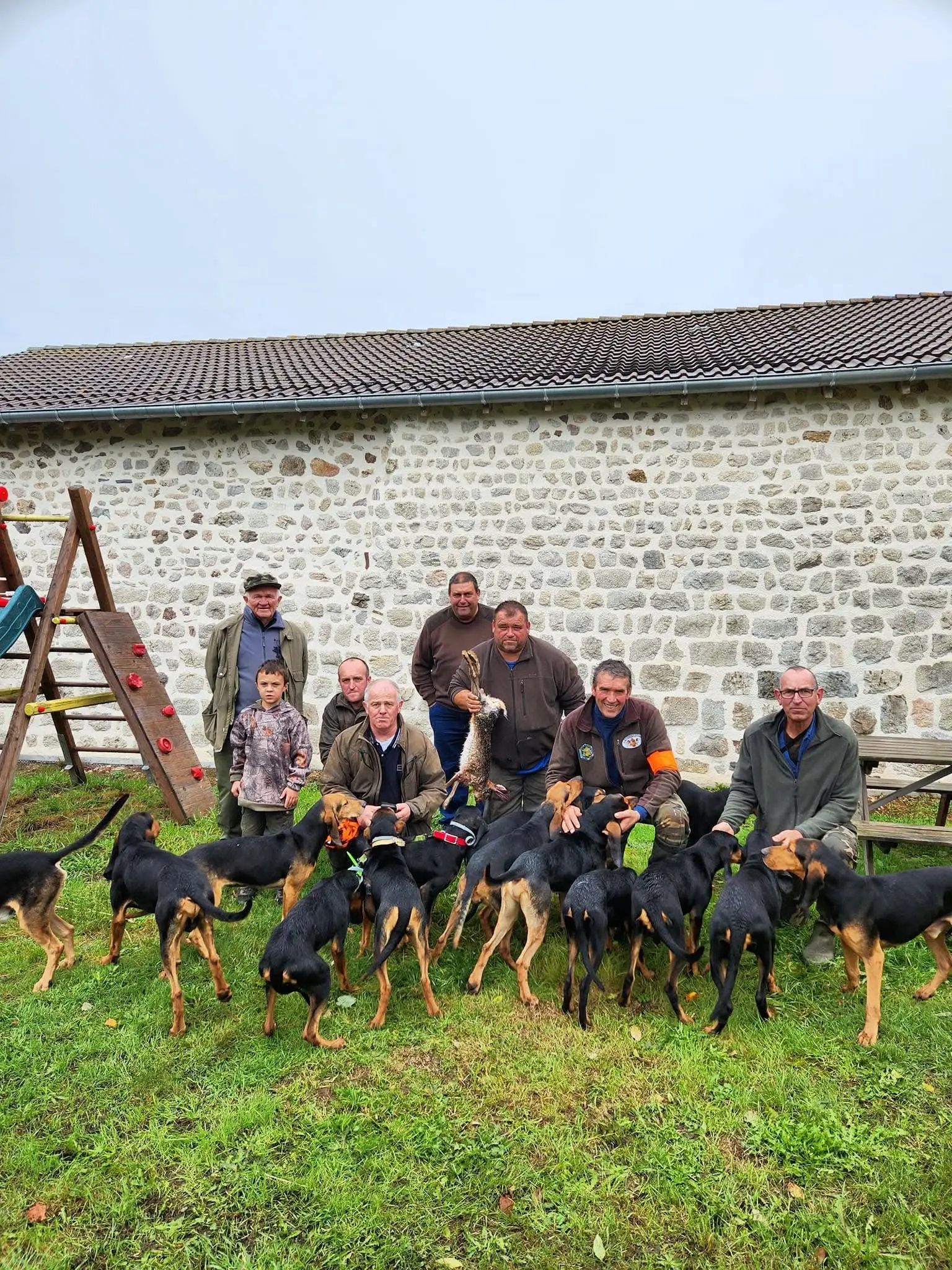法国猎犬🇫🇷 Bruno（布鲁诺），前两天发了这个品种狗视频，有猎...