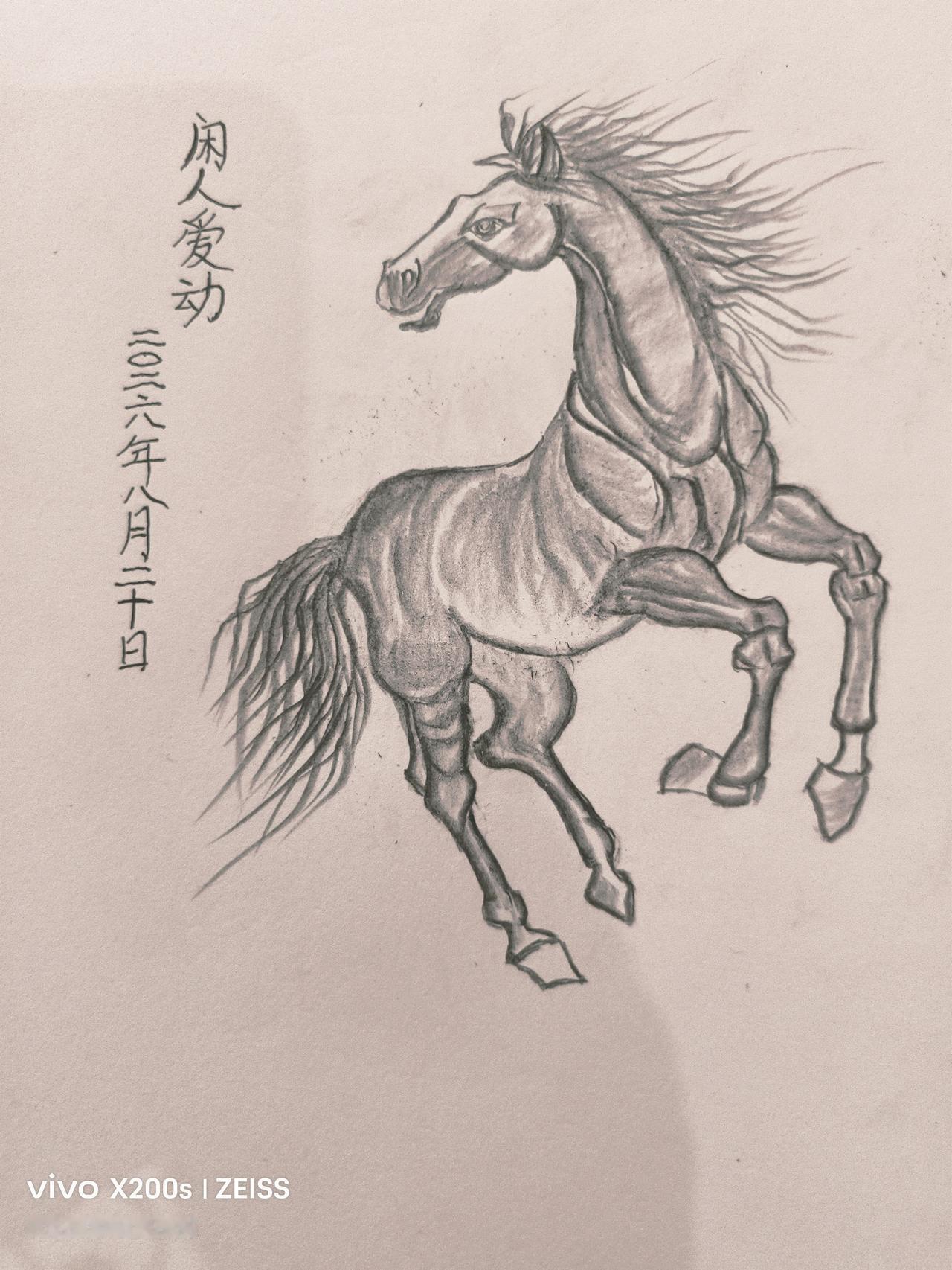 一张图证明你热爱画画闲人爱动昨天铅笔绘马图。