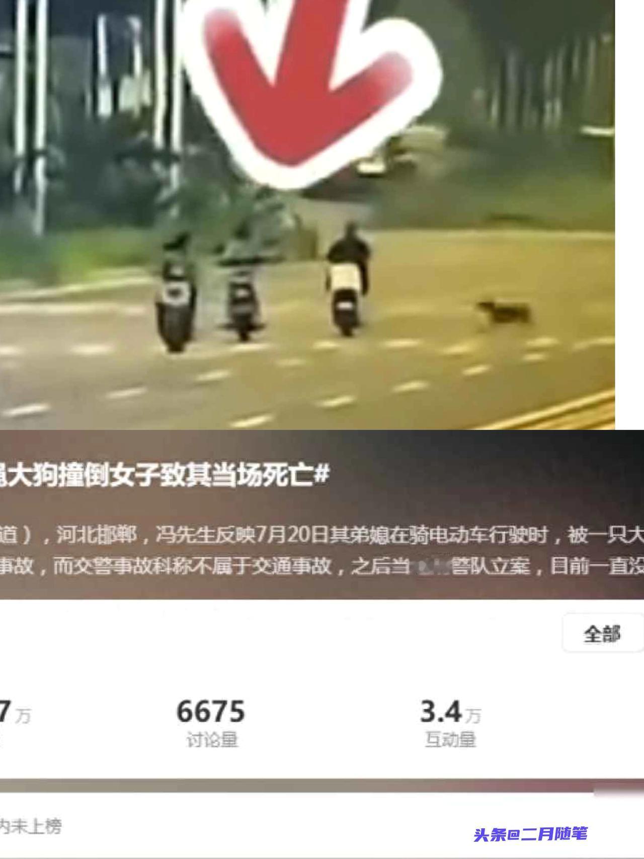 女子骑行被未拴绳大狗撞倒身亡，5个月后丈夫突发脑溢血进ICU，家中还有3个孩子两