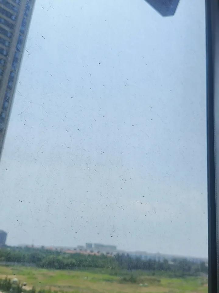 连续几天的阴天小雨，让气候变得温润而湿身。
小暑到了，也是好天气！
头条首发
