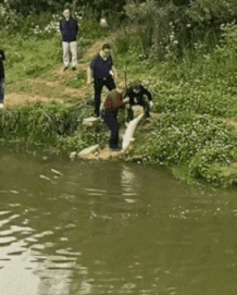 四十年的夫妻，这下走到尽头了