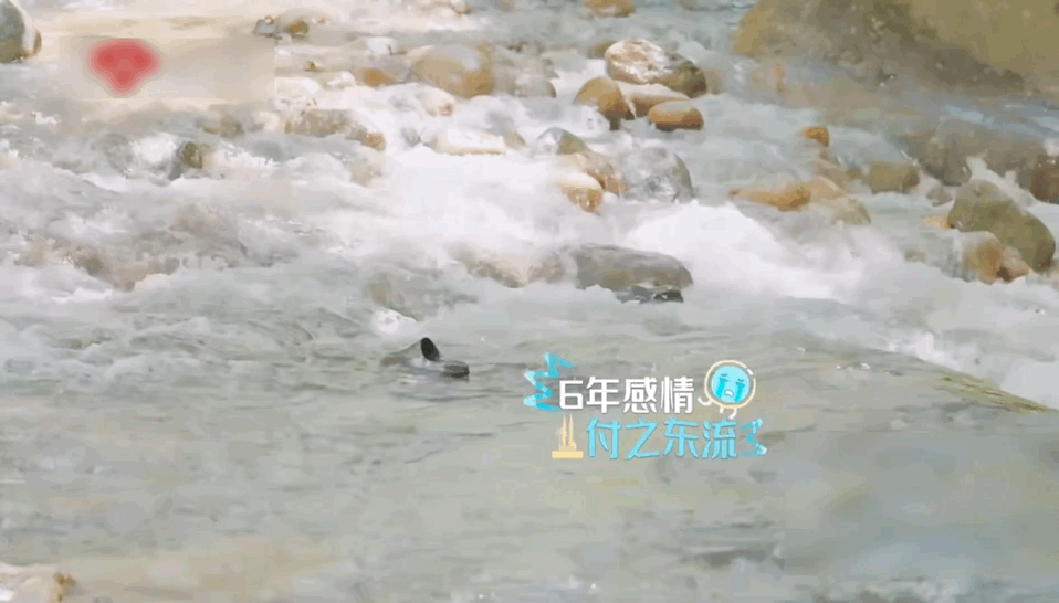 王赫野一双拖鞋穿了六年笑不活了！王赫野的拖鞋完成了史诗级漂流之旅！陪他走过无数旅