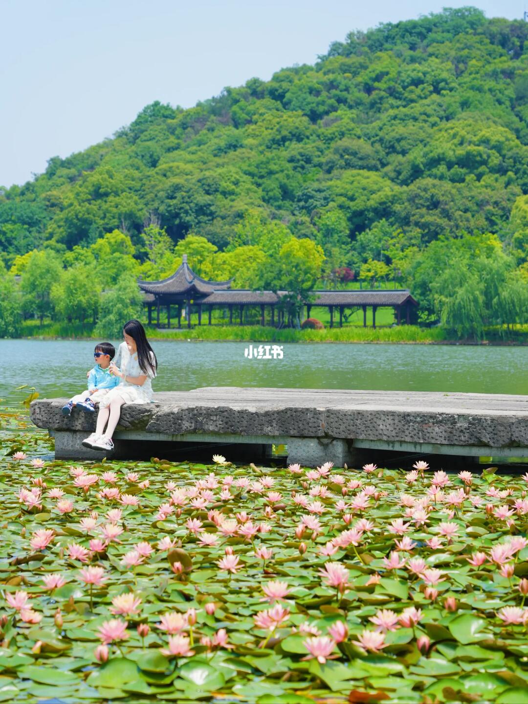 我以为西湖睡莲已经够美了，直到我去了这里
