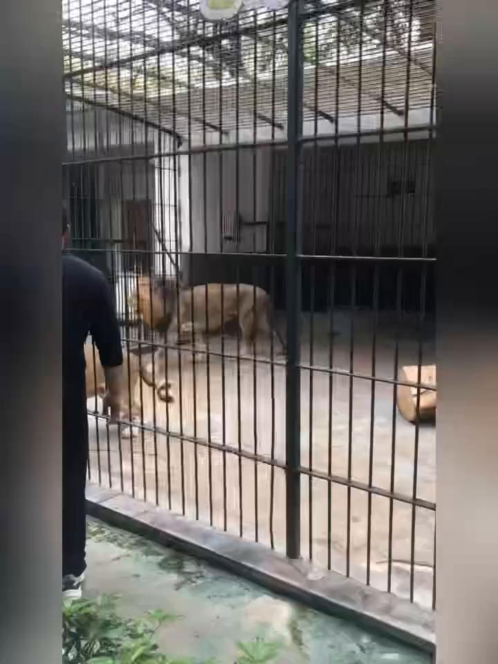 你离他远一点。