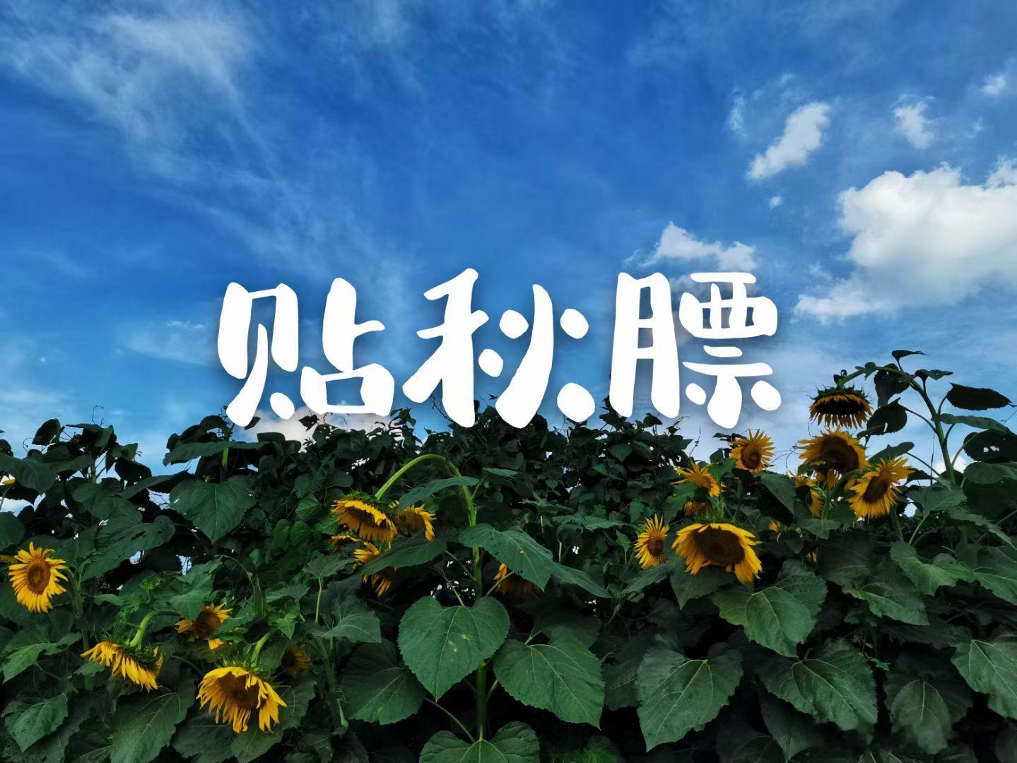 立秋吉祥1.今日立秋贴秋膘，宜啃秋瓜，尝秋蟹，食犬肉等属酸食物。2.立秋日可预修