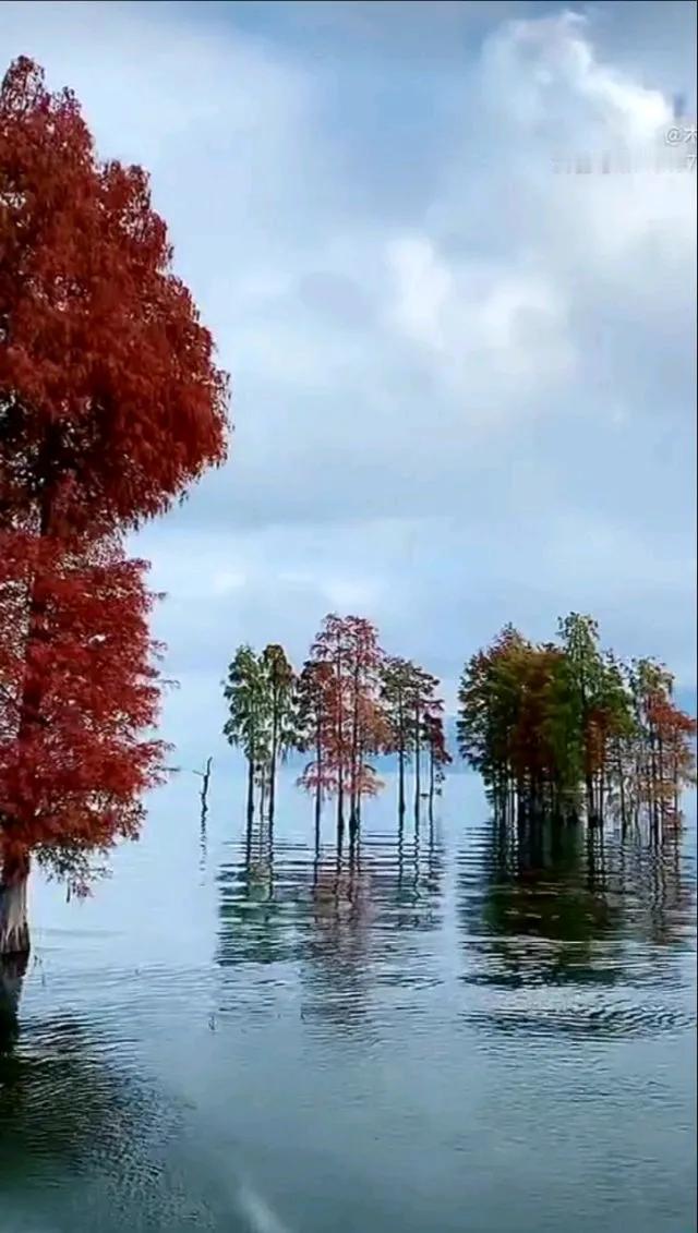 上联：湖水粼粼起波澜；
下联：？？