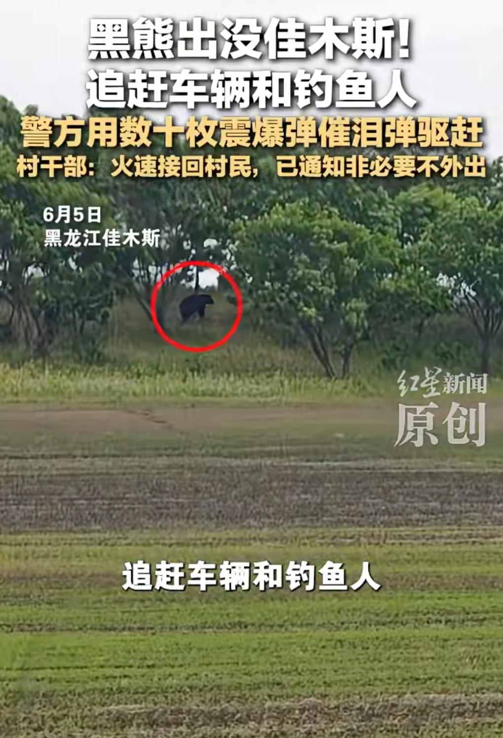 这也太危险了吧。

近日，黑熊出没黑龙江，追赶车辆和钓鱼人。

警方都用了几十枚
